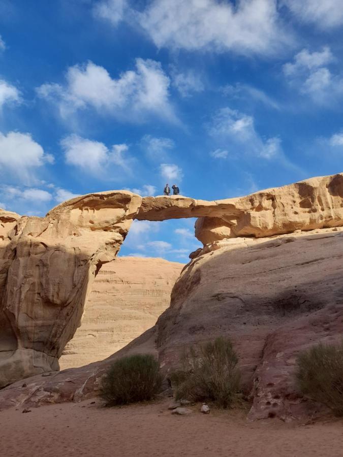 Wadi Rum Bubble Tent & Bedouin Style エクステリア 写真