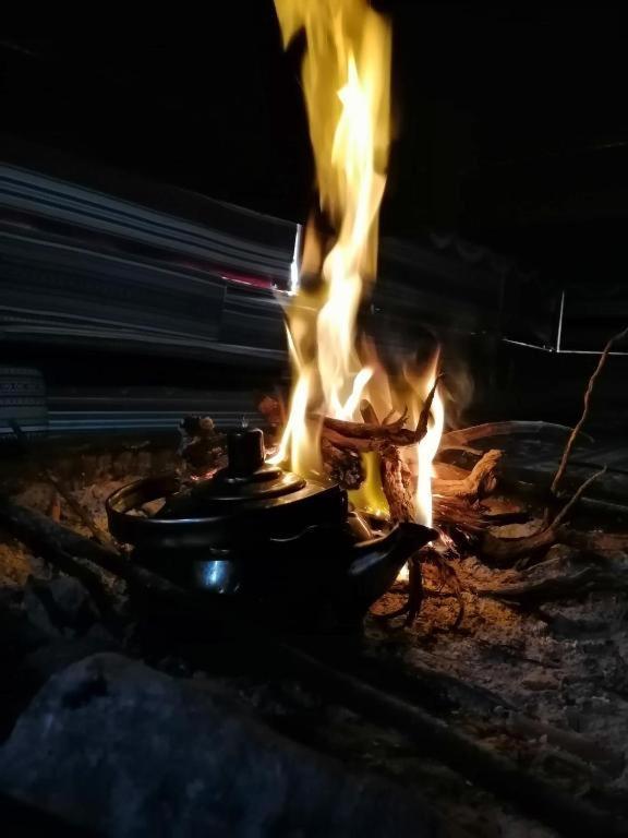 Wadi Rum Bubble Tent & Bedouin Style エクステリア 写真